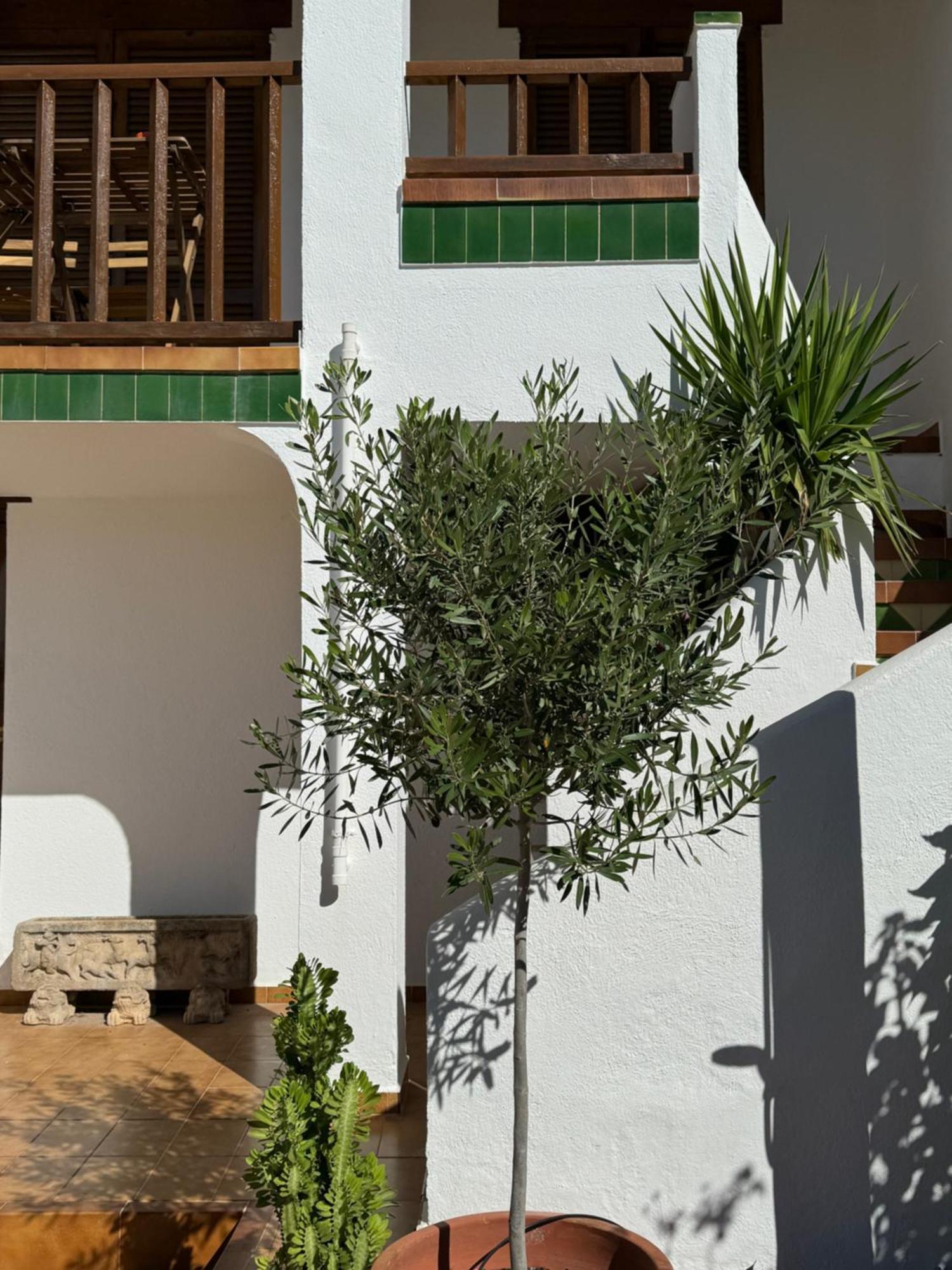 Espectacular Sunny House In The Beach Cunit Buitenkant foto